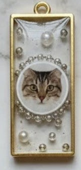 The "Pawsitive Memories" Pendant