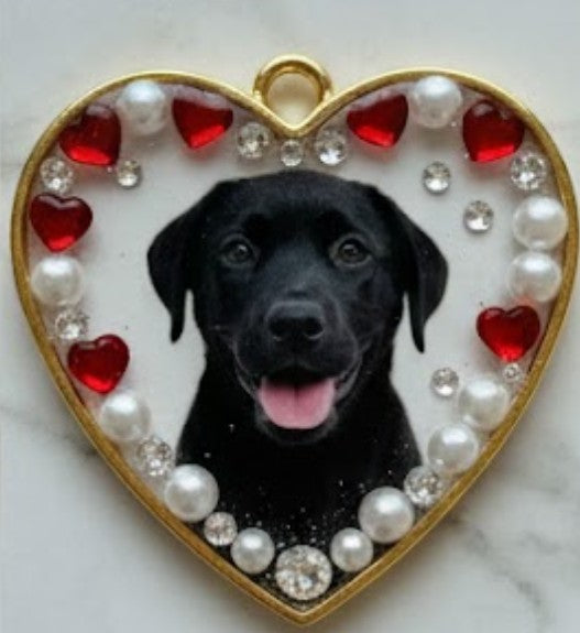 The "Pawsitive Memories" Pendant