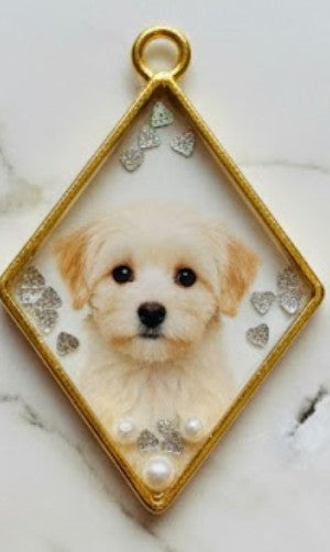 The "Soul-Shell" Keepsake