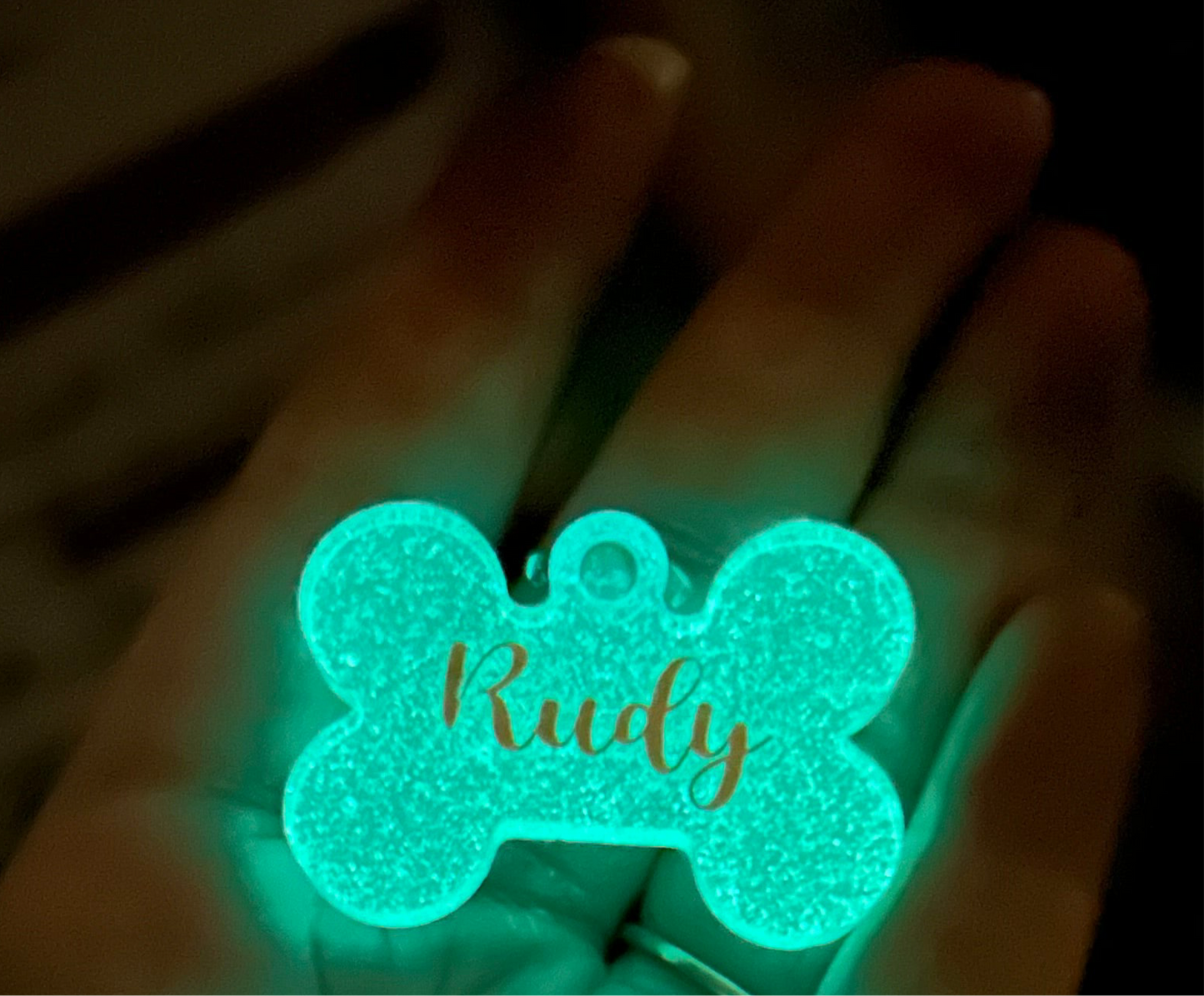 Glow in the Dark - Pet Tags
